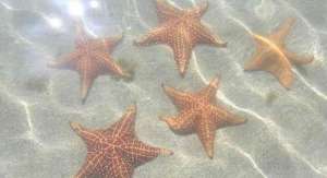 This is what it has in the water.